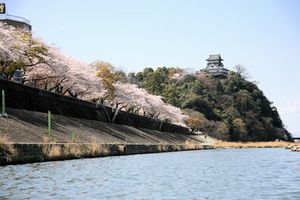 inuyama-a.jpg